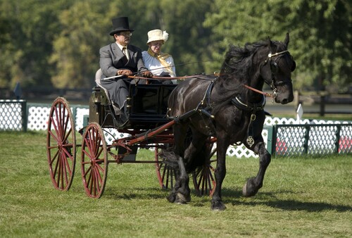 Carriage Classic